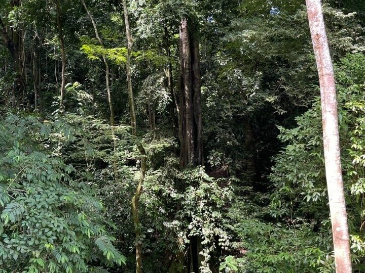 Building Lots for sale in Tarcoles Costa Rica