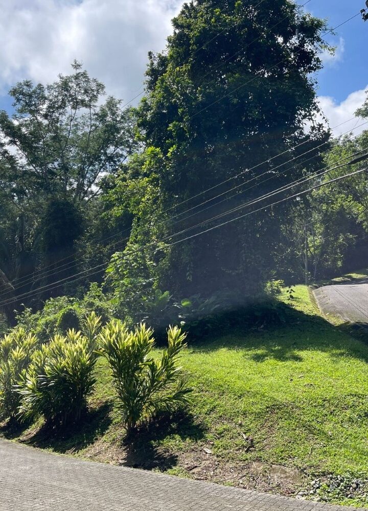 Building Lots for sale in Tarcoles Costa Rica