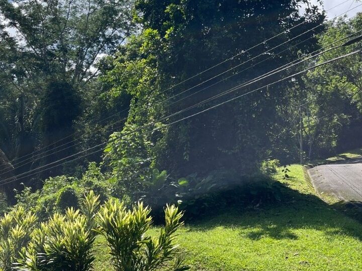 Building Lots for sale in Tarcoles Costa Rica