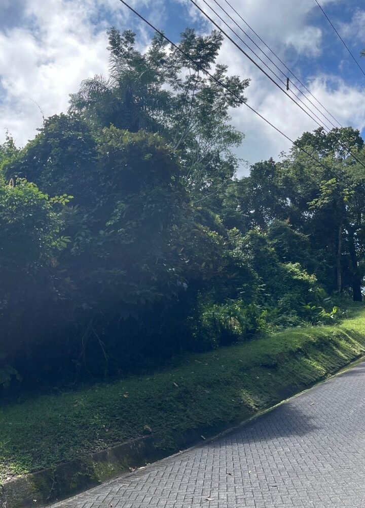 Building Lots for sale in Tarcoles Costa Rica
