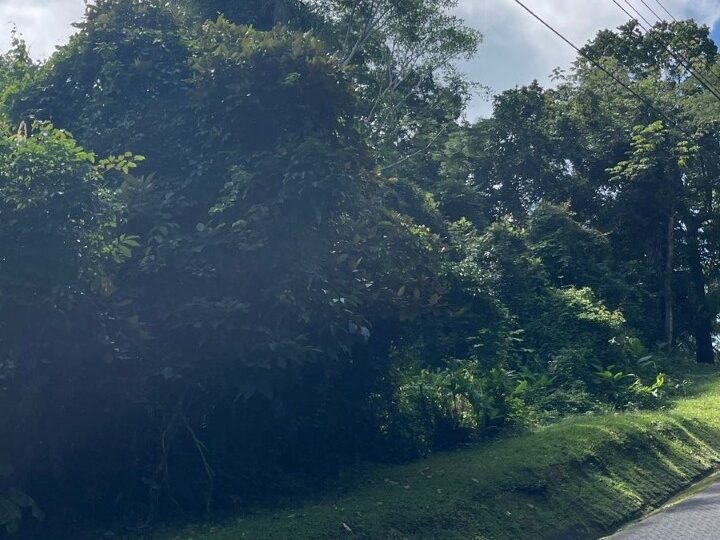 Building Lots for sale in Tarcoles Costa Rica