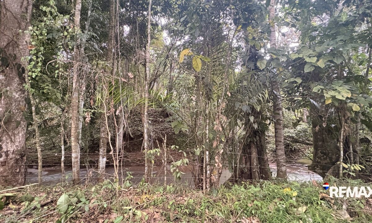 Building Lots for sale in EsterillosParrita Costa Rica