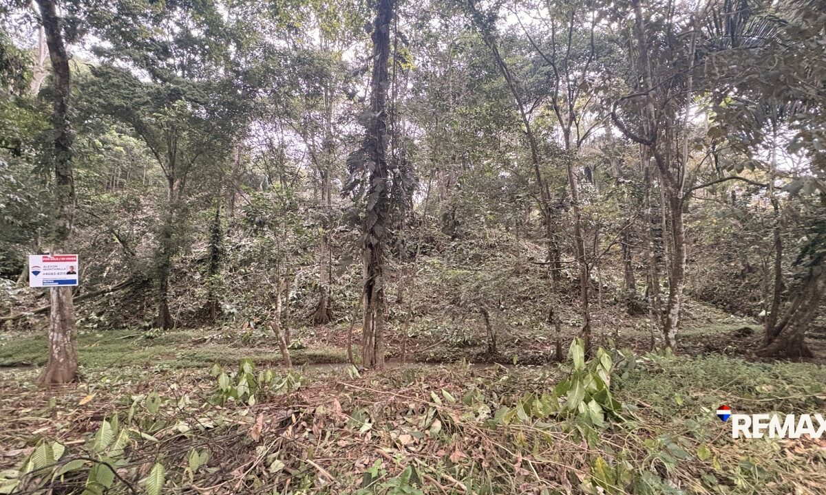 Building Lots for sale in EsterillosParrita Costa Rica