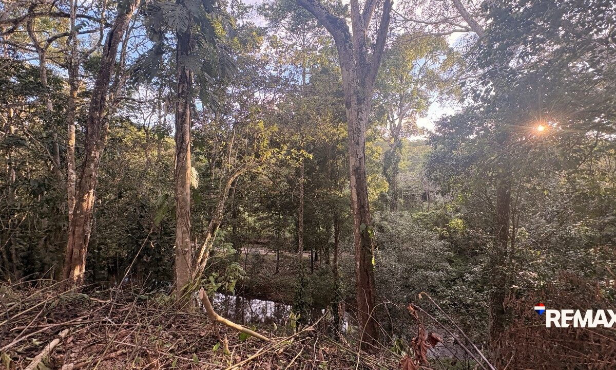 Building Lots for sale in EsterillosParrita Costa Rica