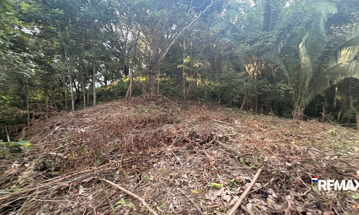 Building Lots for sale in EsterillosParrita Costa Rica