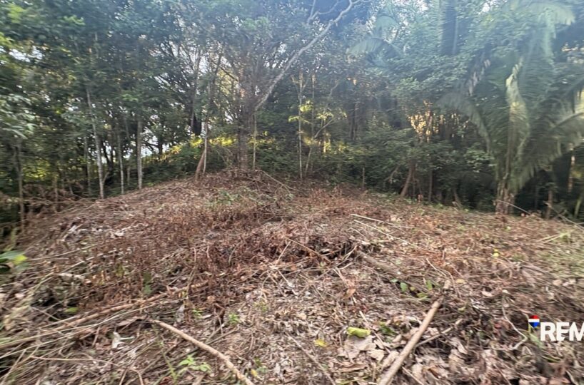 Building Lots for sale in EsterillosParrita Costa Rica