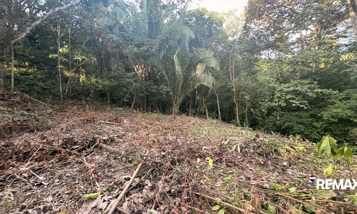 Building Lots for sale in EsterillosParrita Costa Rica
