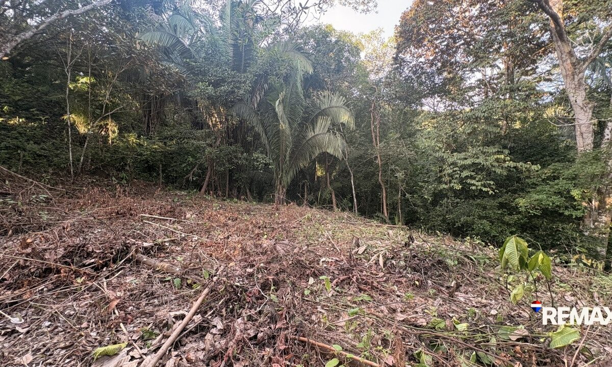 Building Lots for sale in EsterillosParrita Costa Rica
