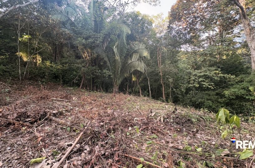Building Lots for sale in EsterillosParrita Costa Rica
