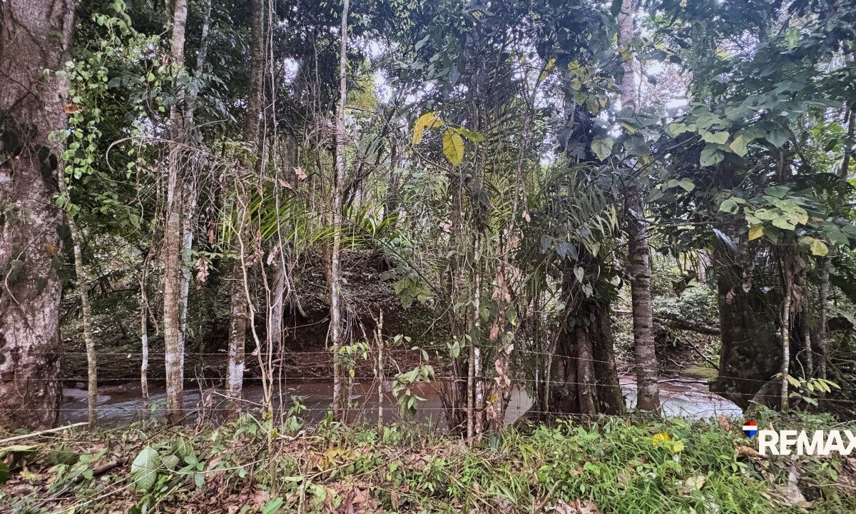 Building Lots for sale in EsterillosParrita Costa Rica