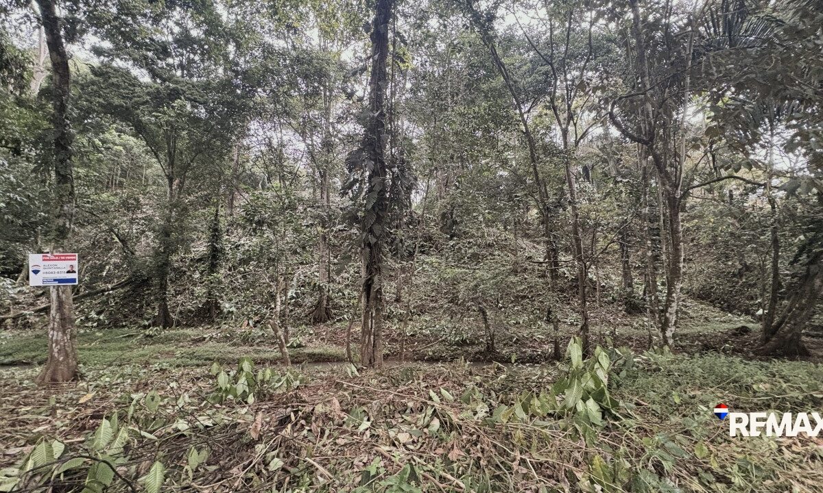 Building Lots for sale in EsterillosParrita Costa Rica