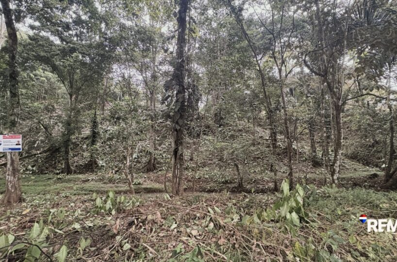 Building Lots for sale in EsterillosParrita Costa Rica