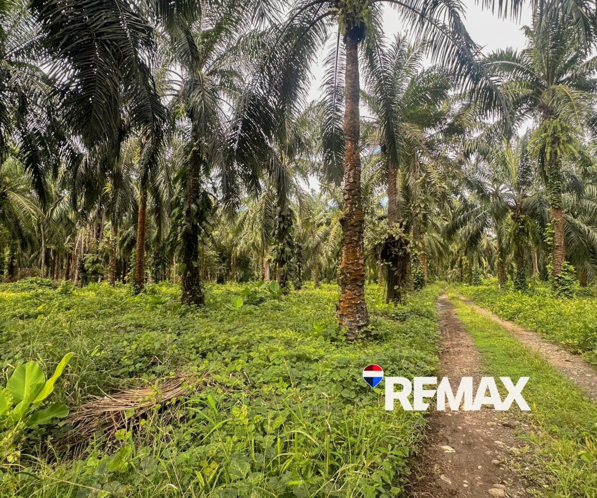 Building Lots for sale in EsterillosParrita Costa Rica