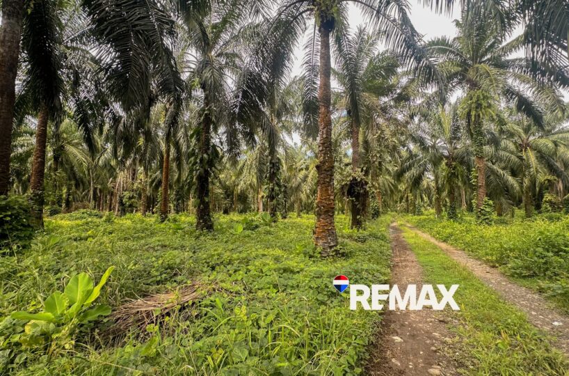 Building Lots for sale in EsterillosParrita Costa Rica