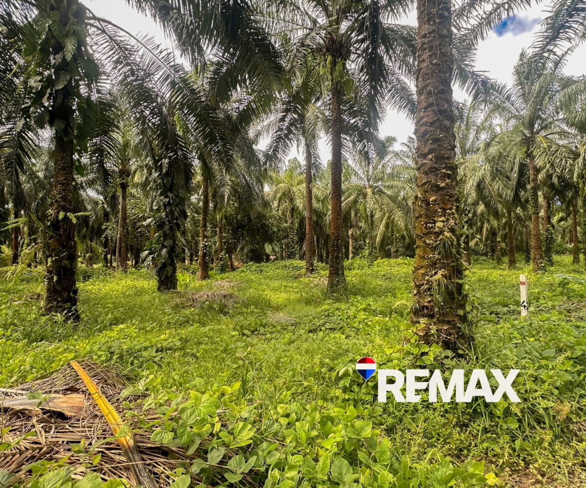 Building Lots for sale in EsterillosParrita Costa Rica