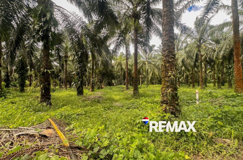 Building Lots for sale in EsterillosParrita Costa Rica