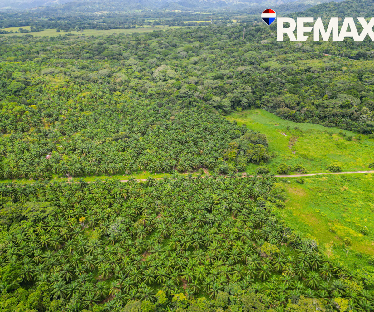 Building Lots for sale in EsterillosParrita Costa Rica