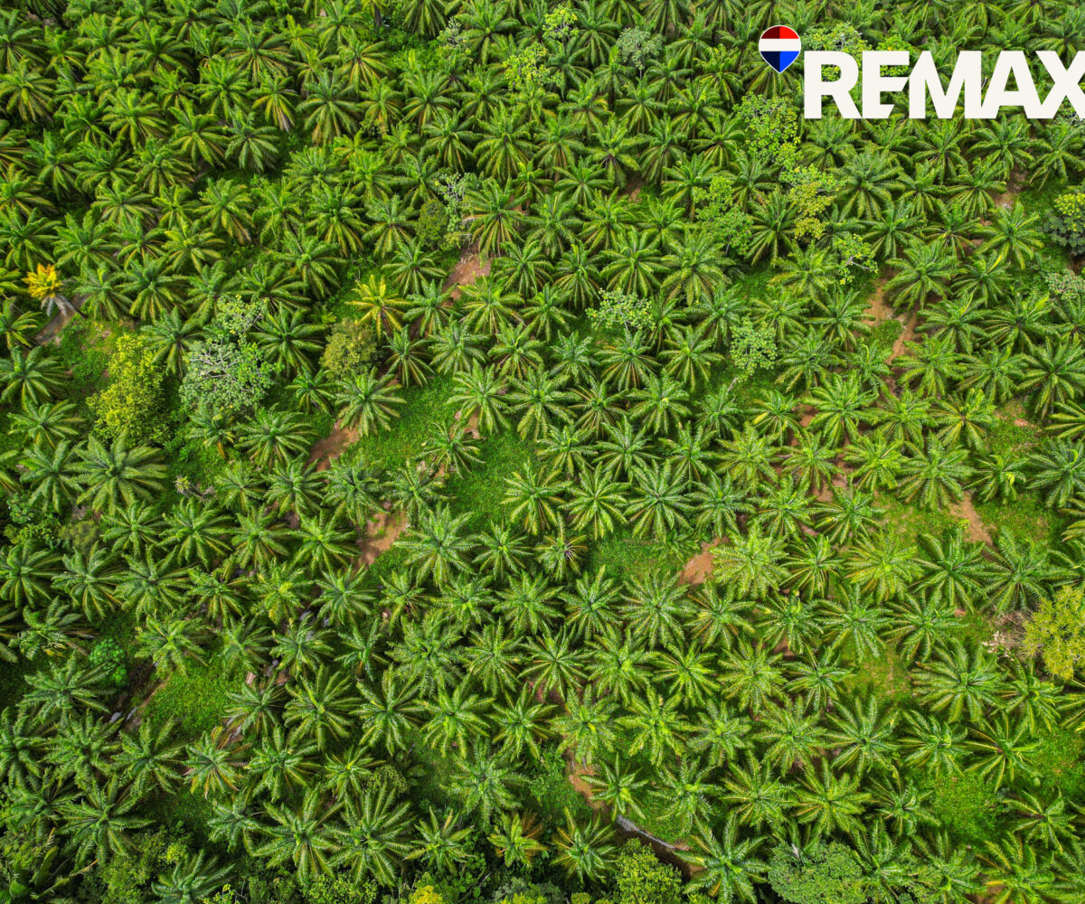 Building Lots for sale in EsterillosParrita Costa Rica