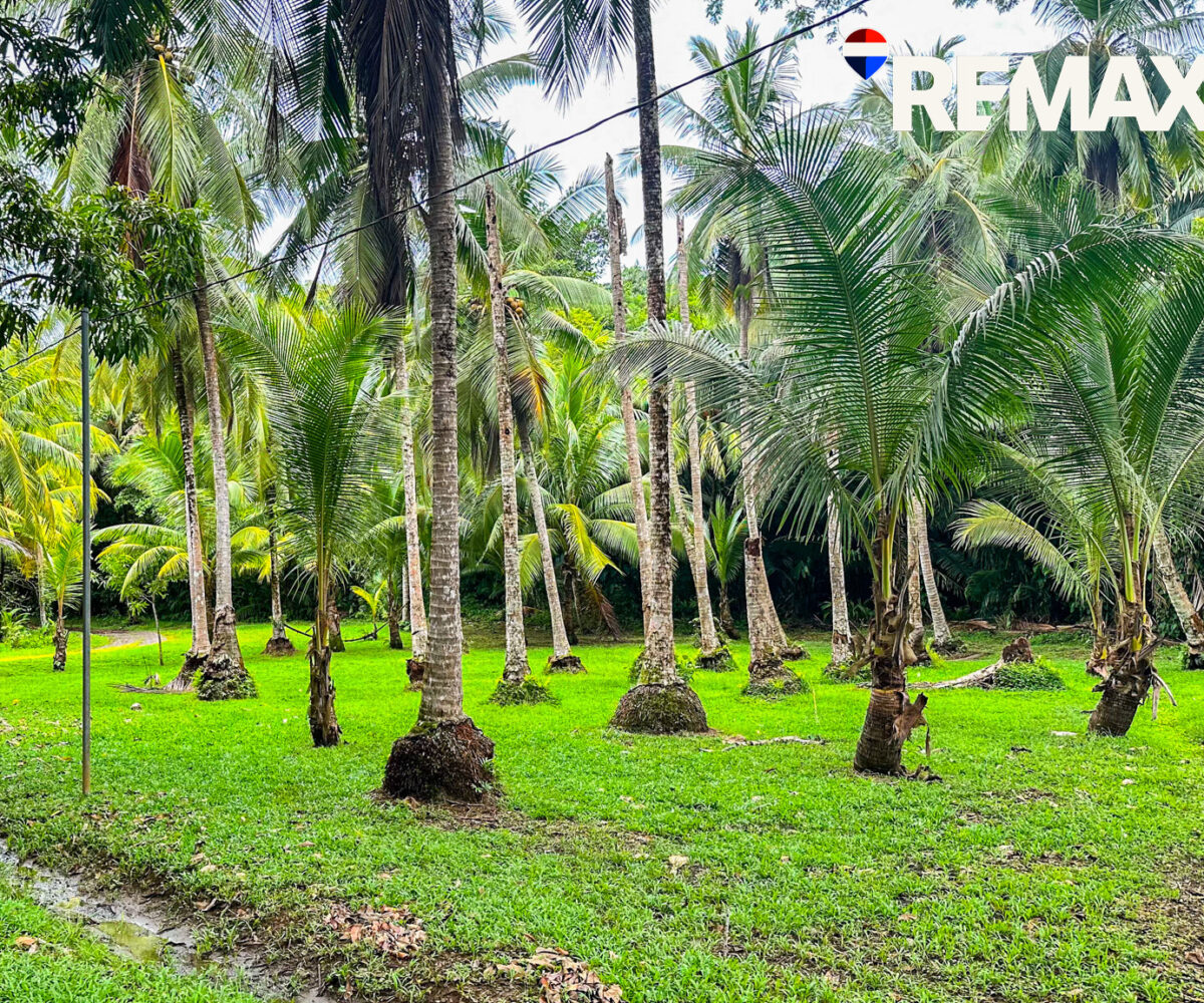 Building Lots for sale in EsterillosParrita Costa Rica