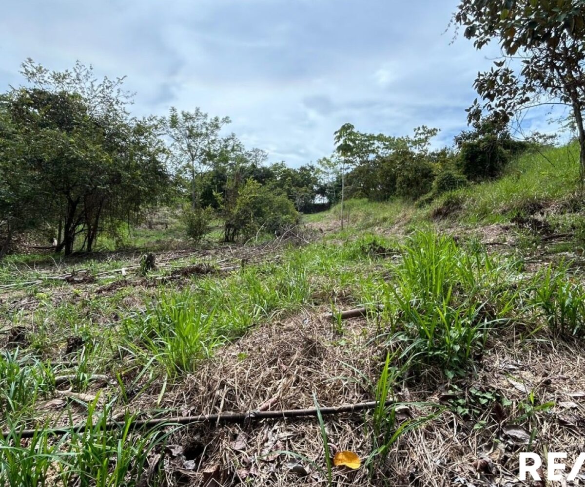 Building Lots for sale in EsterillosParrita Costa Rica