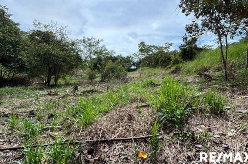 Building Lots for sale in EsterillosParrita Costa Rica