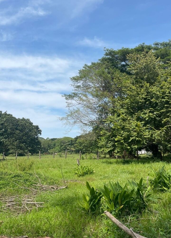 Building Lots for sale in Quebrada Ganado Costa Rica