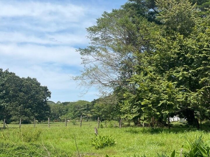 Building Lots for sale in Quebrada Ganado Costa Rica