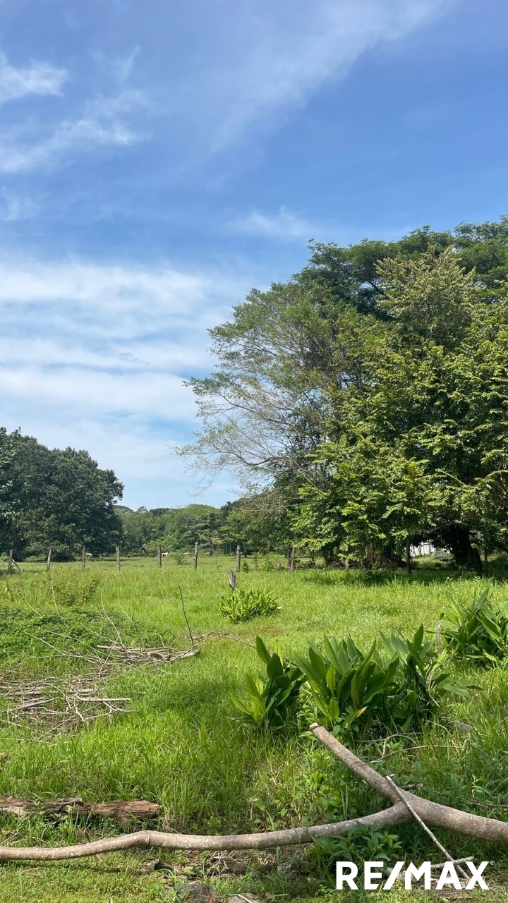 Building Lots for sale in Quebrada Ganado Costa Rica