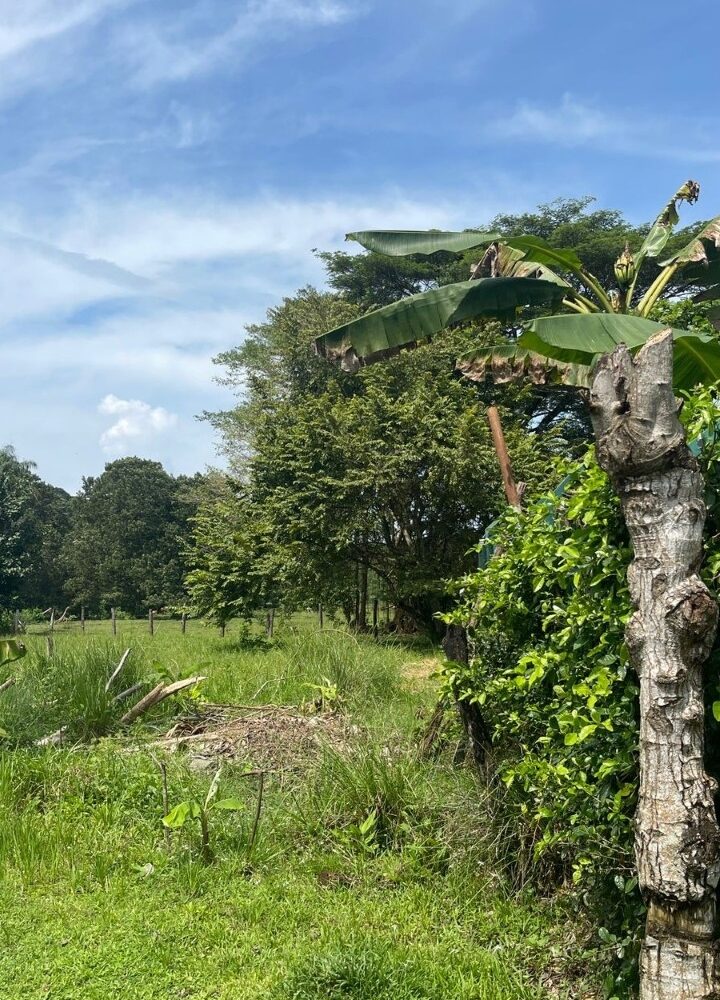 Building Lots for sale in Quebrada Ganado Costa Rica