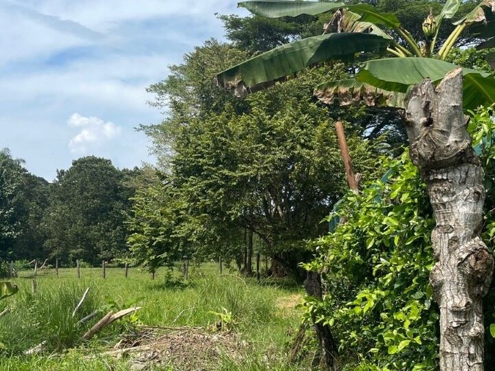 Building Lots for sale in Quebrada Ganado Costa Rica