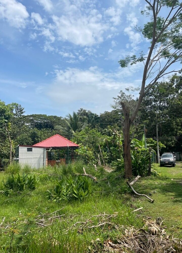 Building Lots for sale in Quebrada Ganado Costa Rica