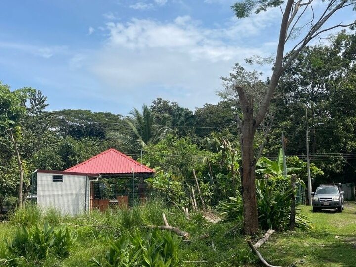 Building Lots for sale in Quebrada Ganado Costa Rica