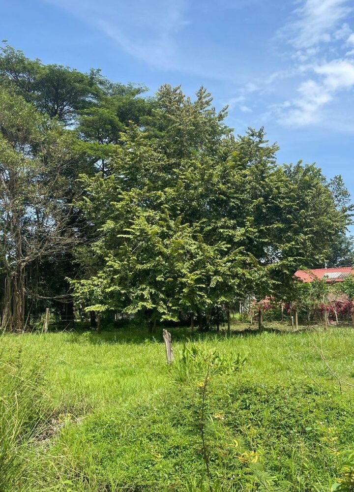 Building Lots for sale in Quebrada Ganado Costa Rica