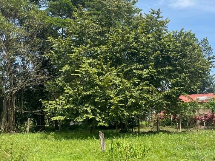 Building Lots for sale in Quebrada Ganado Costa Rica