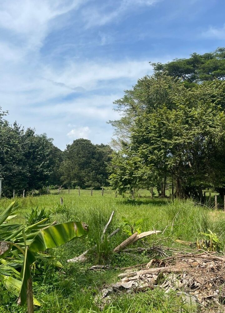 Building Lots for sale in Quebrada Ganado Costa Rica
