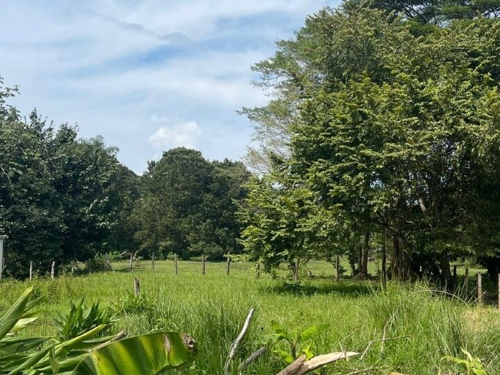 Building Lots for sale in Quebrada Ganado Costa Rica