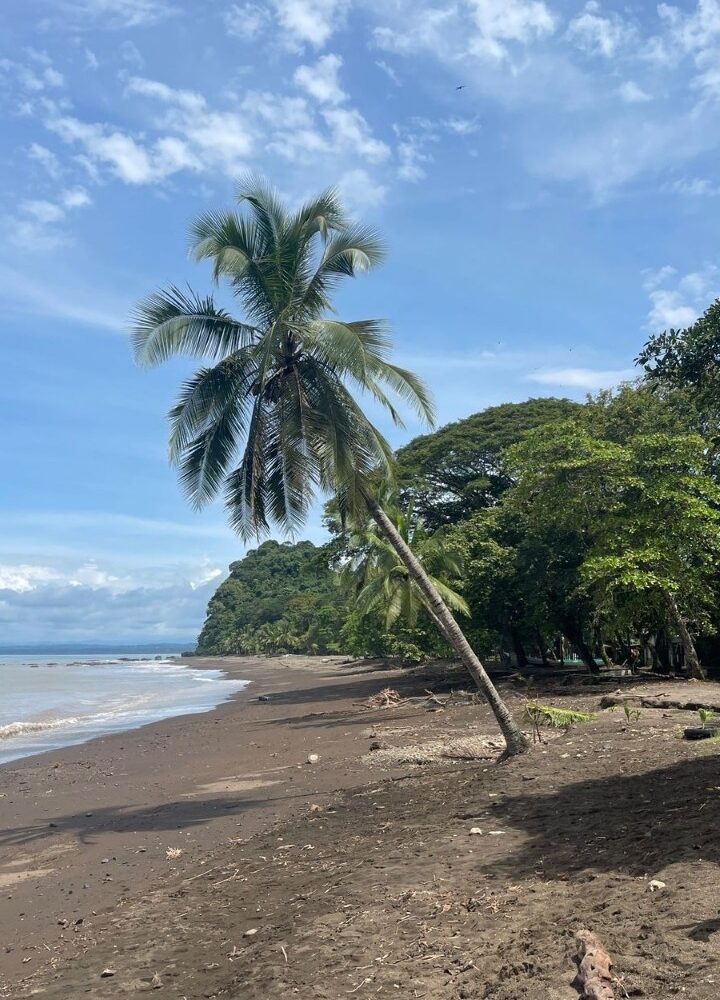 Building Lots for sale in Quebrada Ganado Costa Rica
