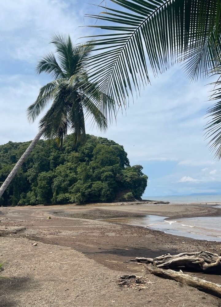 Building Lots for sale in Quebrada Ganado Costa Rica