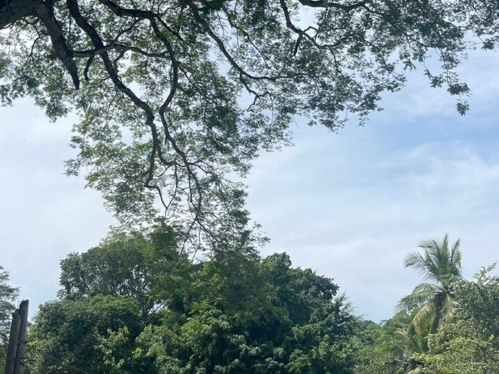 Building Lots for sale in Quebrada Ganado Costa Rica