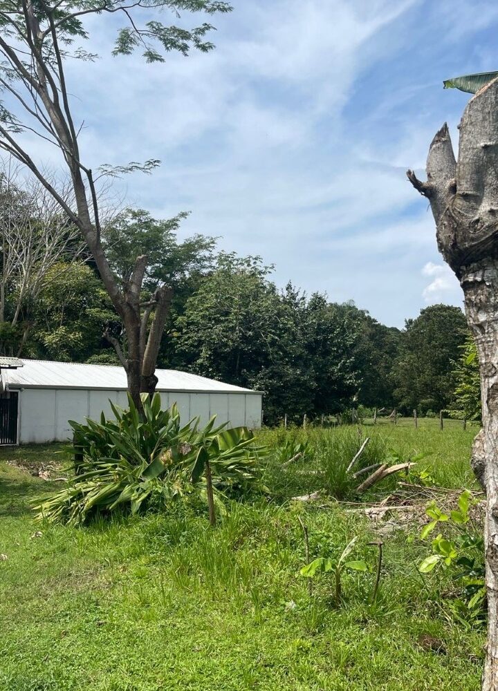 Building Lots for sale in Quebrada Ganado Costa Rica