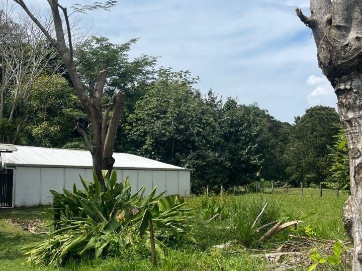 Building Lots for sale in Quebrada Ganado Costa Rica