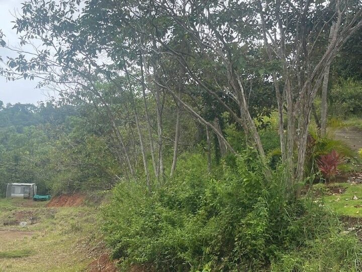 Building Lots for sale in Hermosa Beach Costa Rica