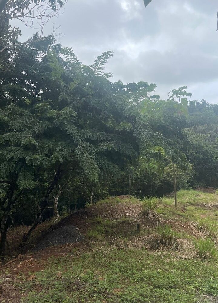 Building Lots for sale in Hermosa Beach Costa Rica
