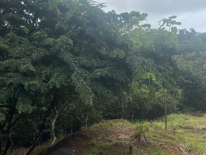 Building Lots for sale in Hermosa Beach Costa Rica