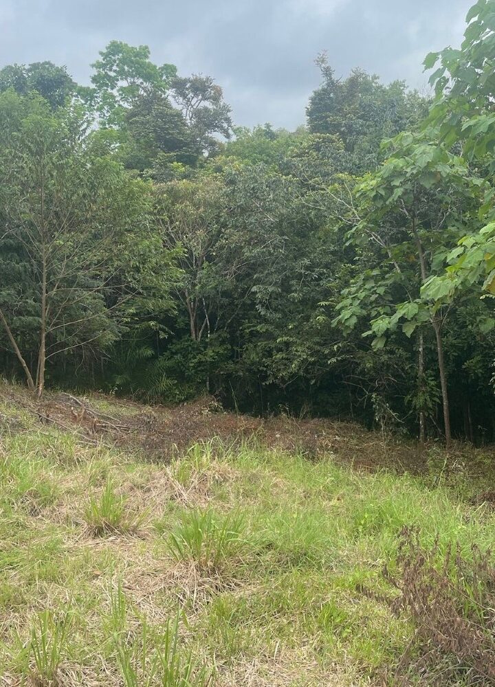 Building Lots for sale in Hermosa Beach Costa Rica