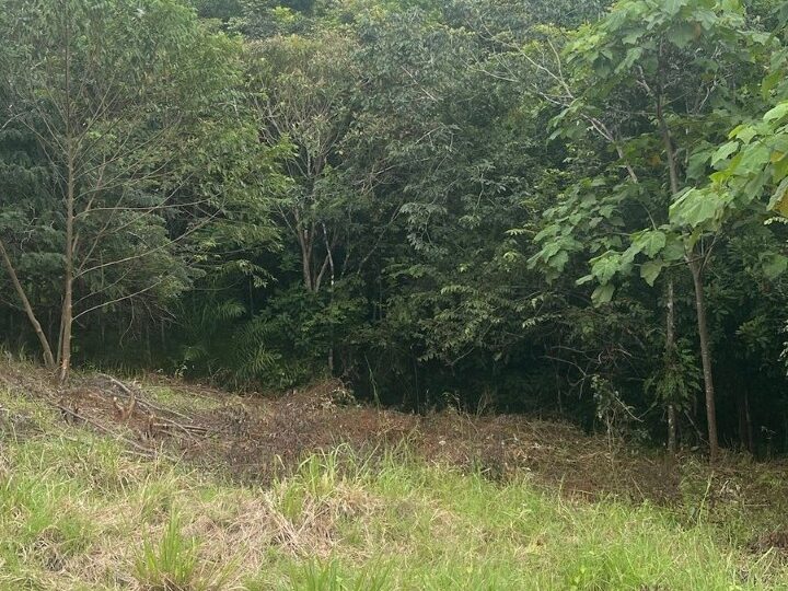 Building Lots for sale in Hermosa Beach Costa Rica
