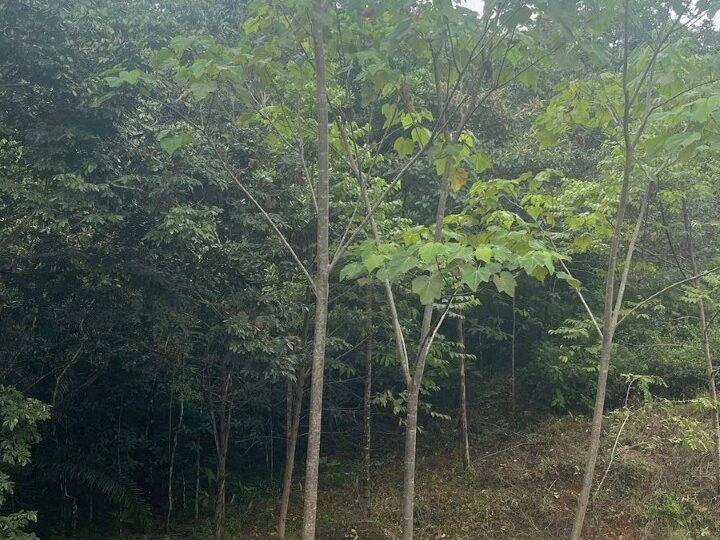 Building Lots for sale in Hermosa Beach Costa Rica