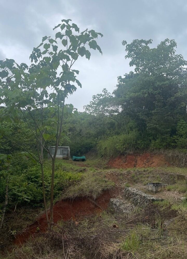 Building Lots for sale in Hermosa Beach Costa Rica