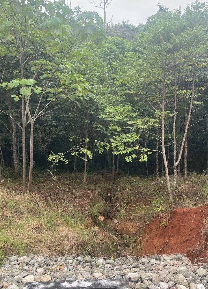 Building Lots for sale in Hermosa Beach Costa Rica