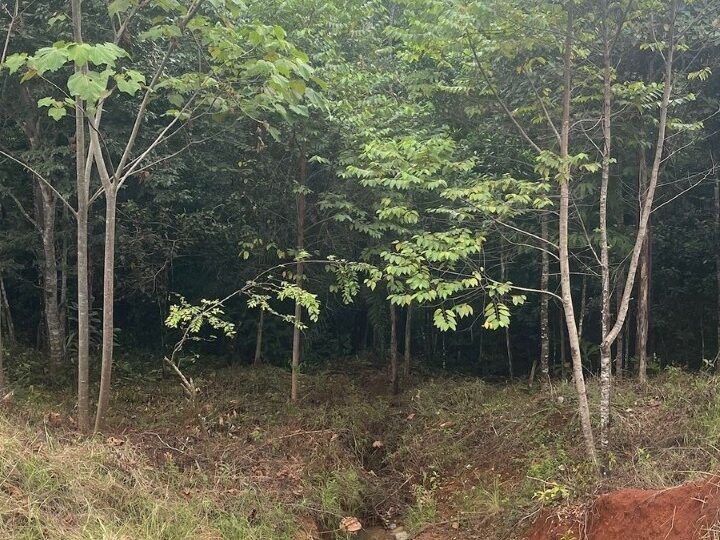 Building Lots for sale in Hermosa Beach Costa Rica